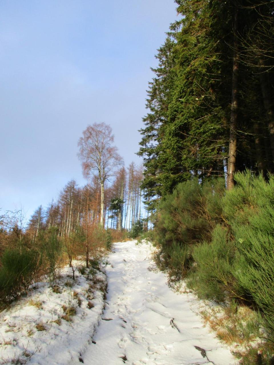 Pitlochry Youth Hostel Dış mekan fotoğraf